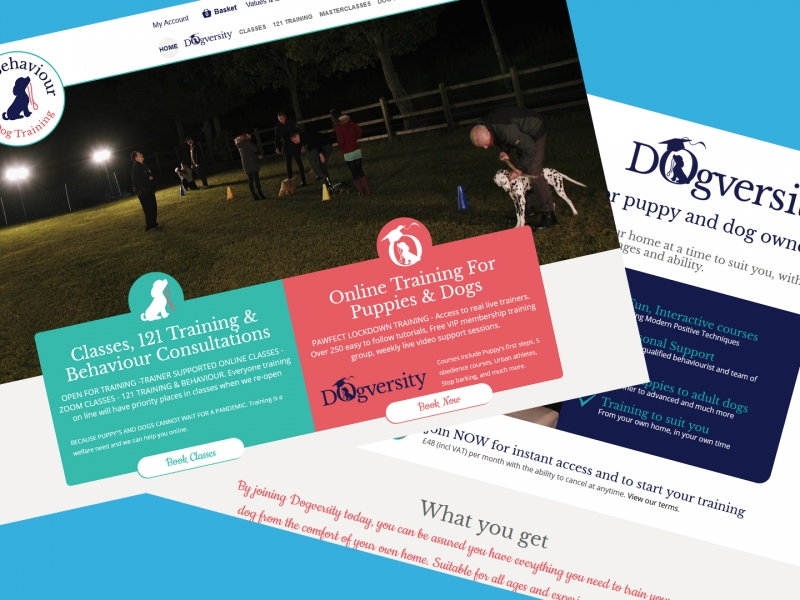 Innovative website takes dog training to another level