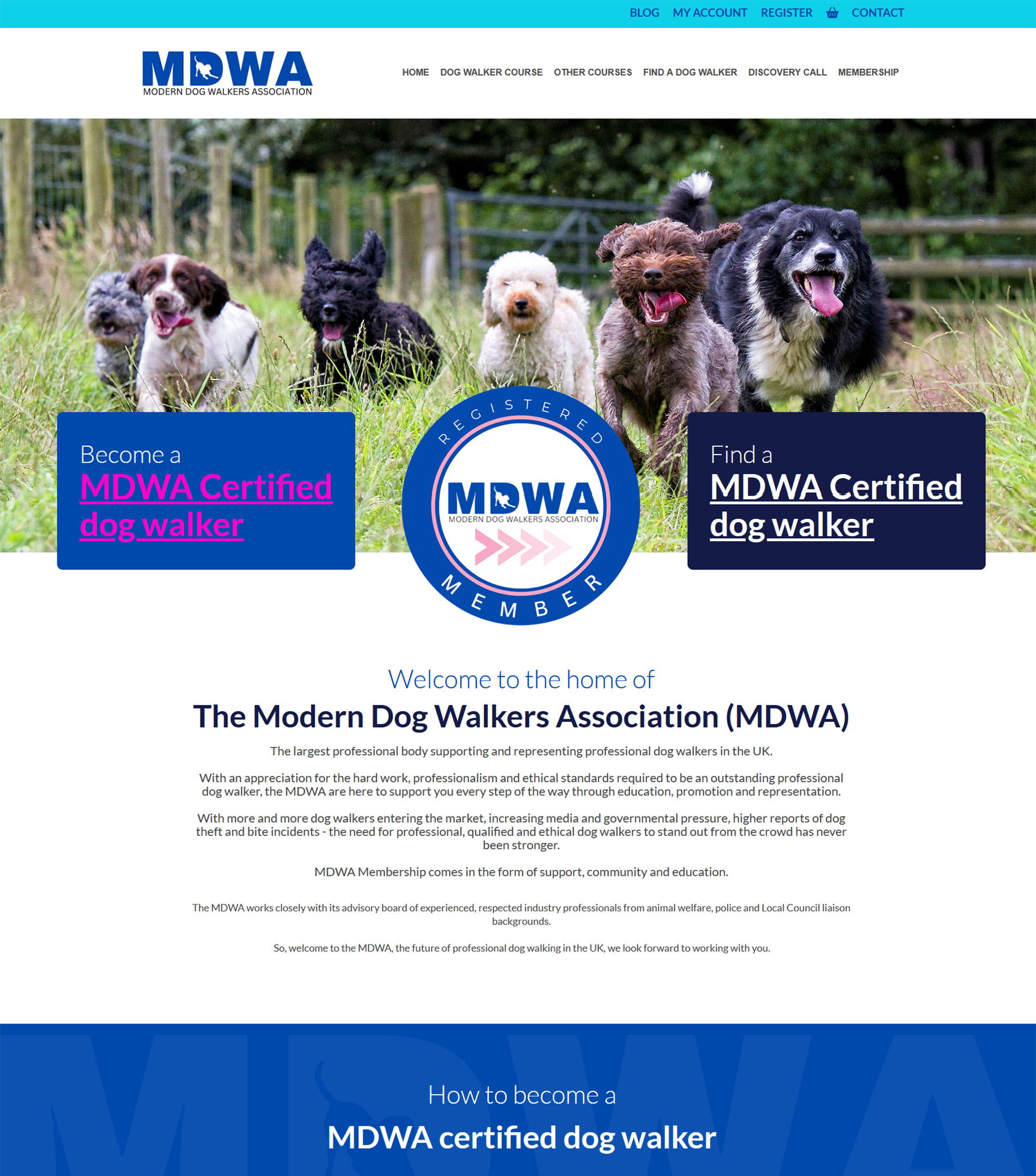 MDWA