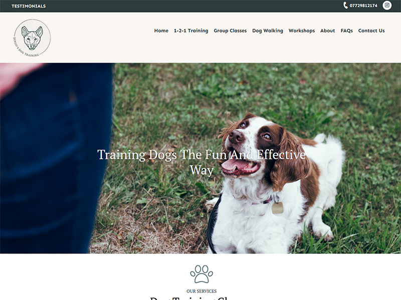 Dingos Dog Training