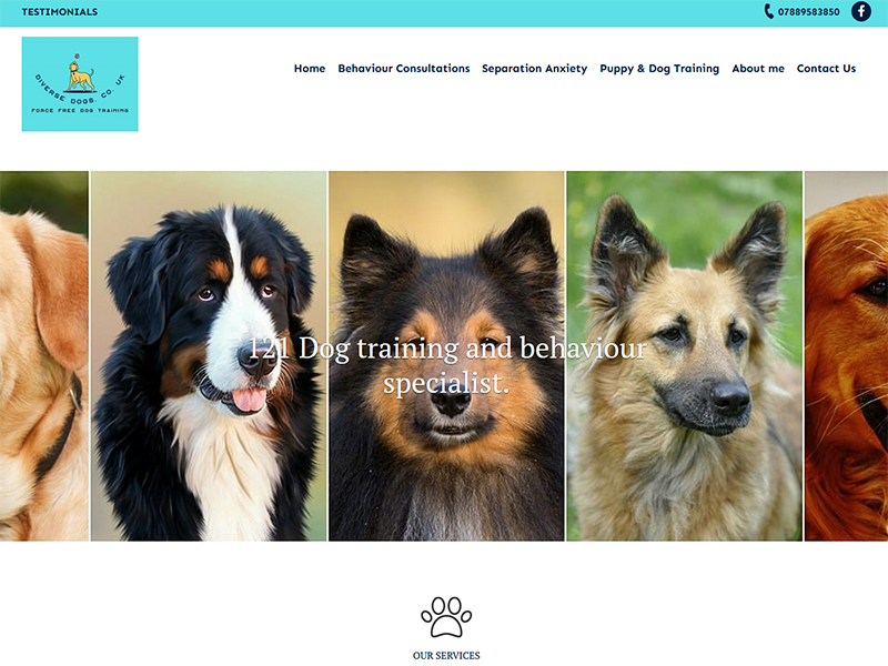 Diverse Dogs