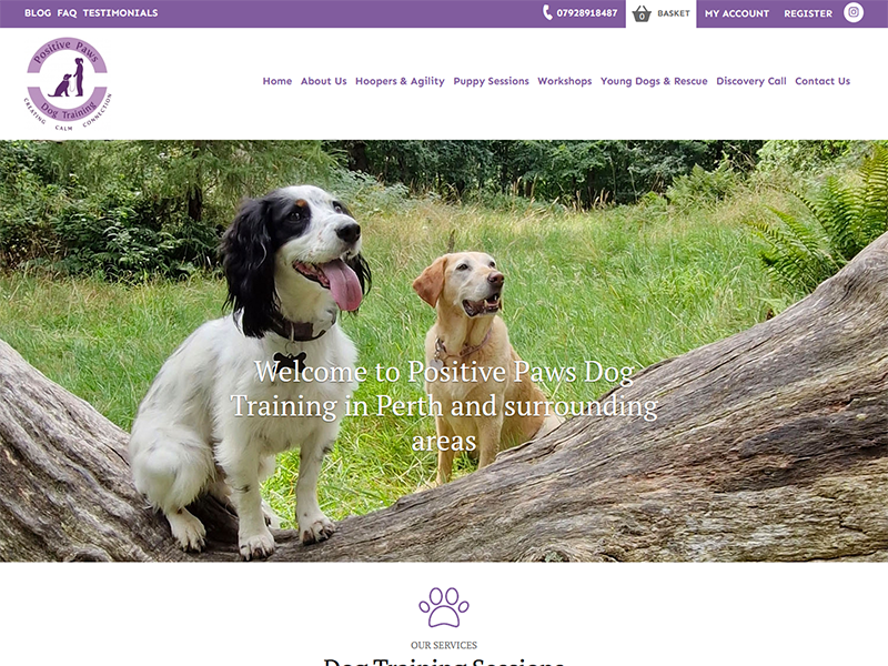 Positive Paws Dog Training