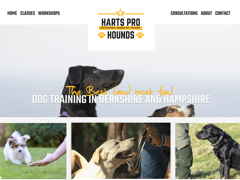 Harts Pro Hounds