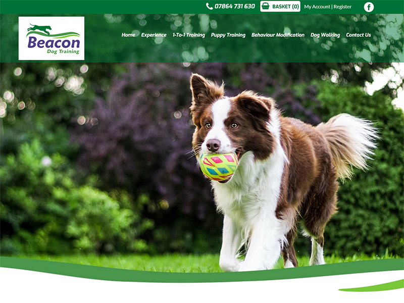 Beacon Dog Training