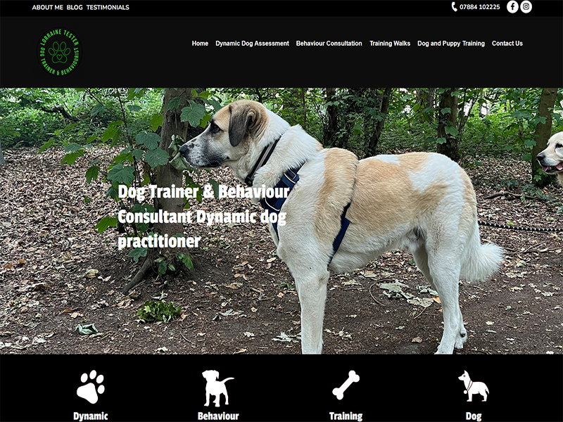 Lorraine Tester Dog Trainer and Behaviour Consultant