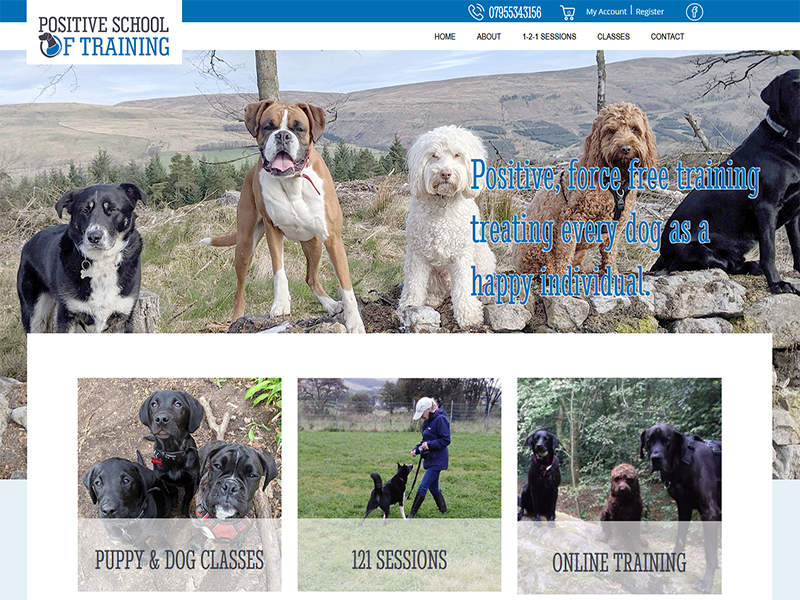 Positive School of Dog Training