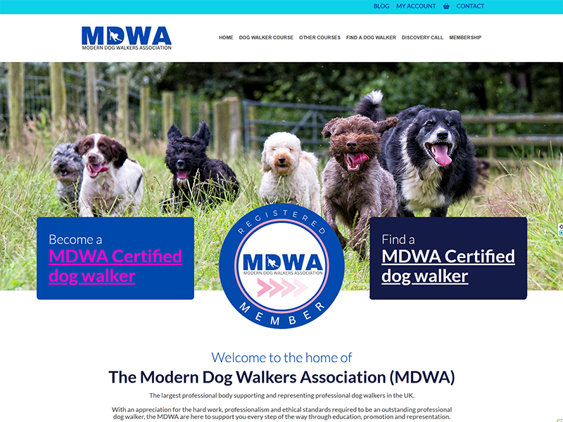Modern Dog Walkers Association